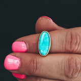 Kingman Turquoise Latitude Ring #3 - Mixed Metals, Size 6