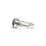 Tree Frog Variscite Latitude Ring #1 - Size 6